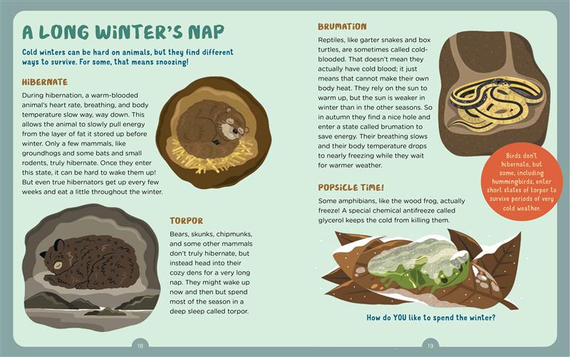 Backpack Explorer: Winter Walk