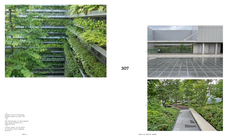 The Modern Japanese Garden