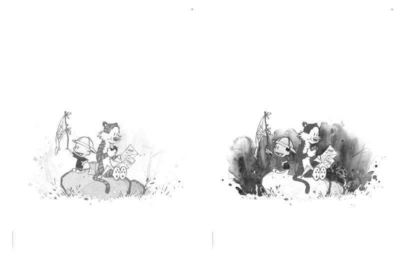 The Indispensable Calvin and Hobbes