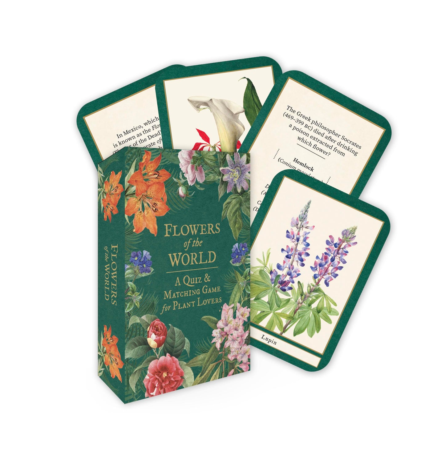 Flowers of the World