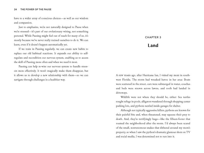 The Power of the Pause