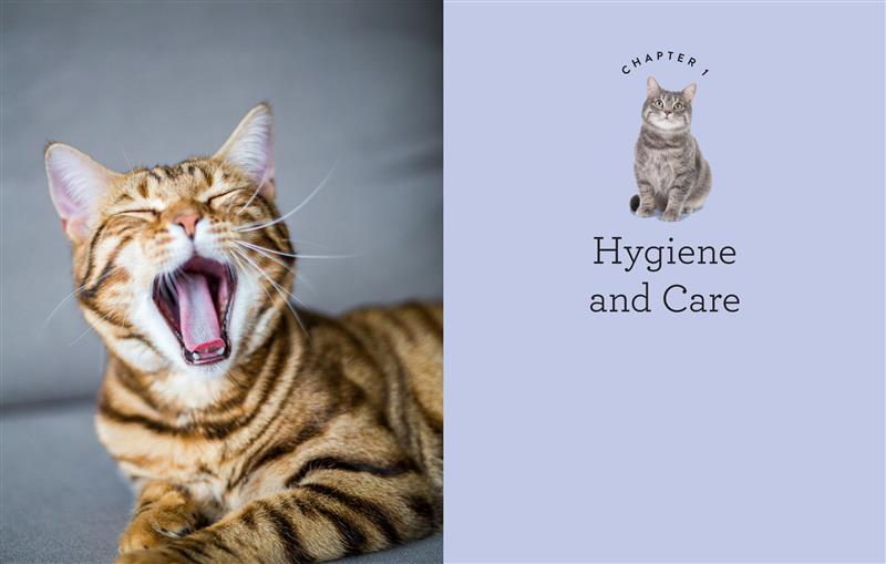 Bien-être pour les chats