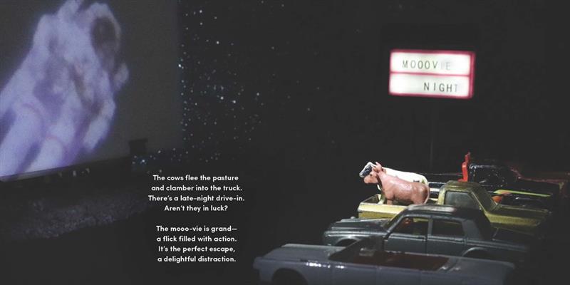 Une nuit à la ferme