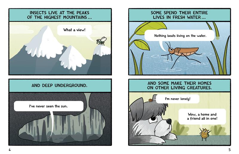 Burt the Beetle Lives Here!