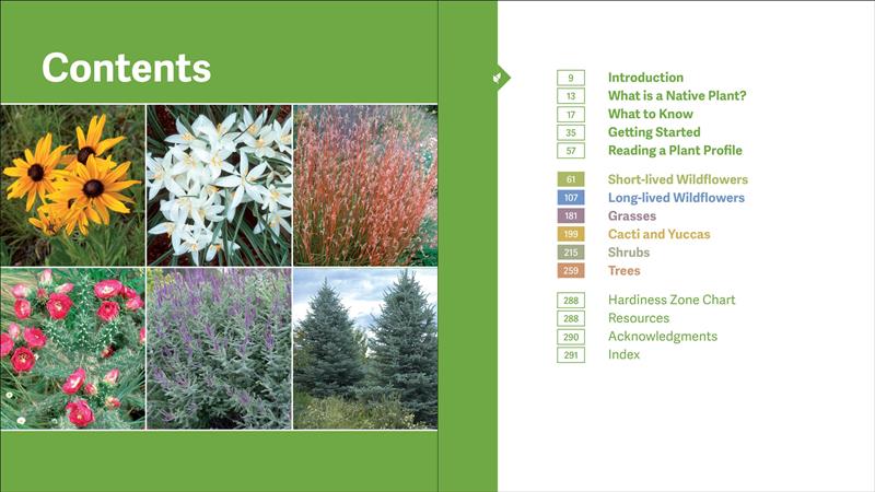 The Rocky Mountain Native Plant Primer