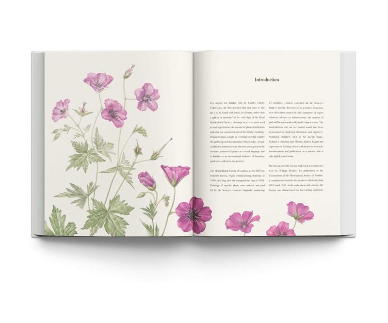 RHS Botanical Illustration