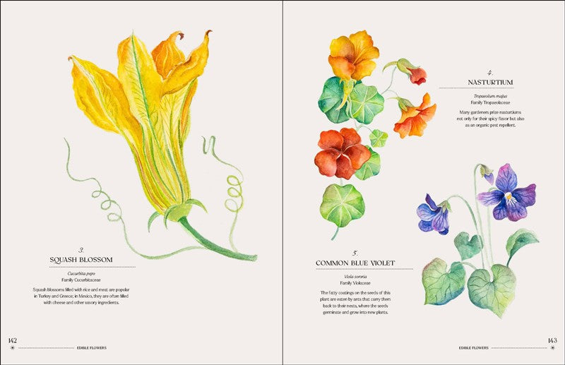 The Illuminated Book of Blooms