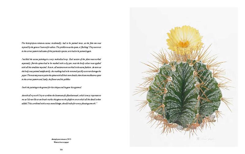 RHS Botanical Illustration