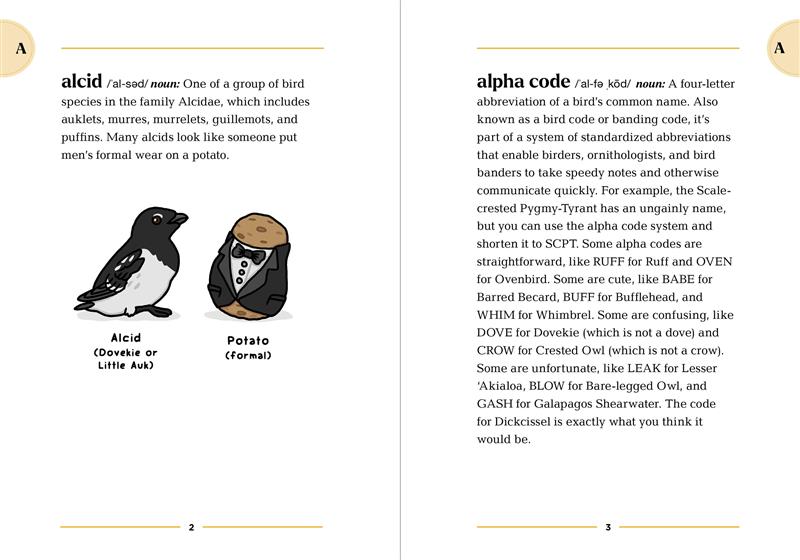 The Birding Dictionary