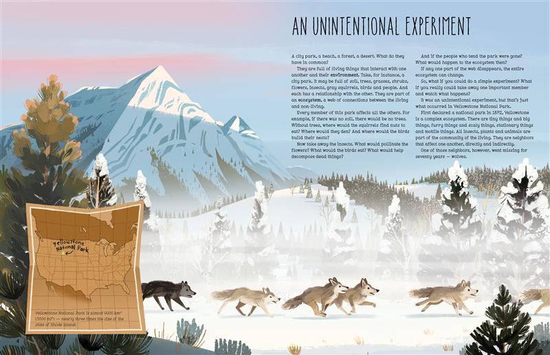 Le retour des loups