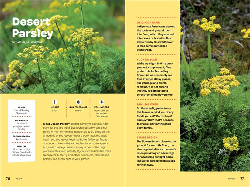 Wildflowers of the Pacific Northwest For Kids