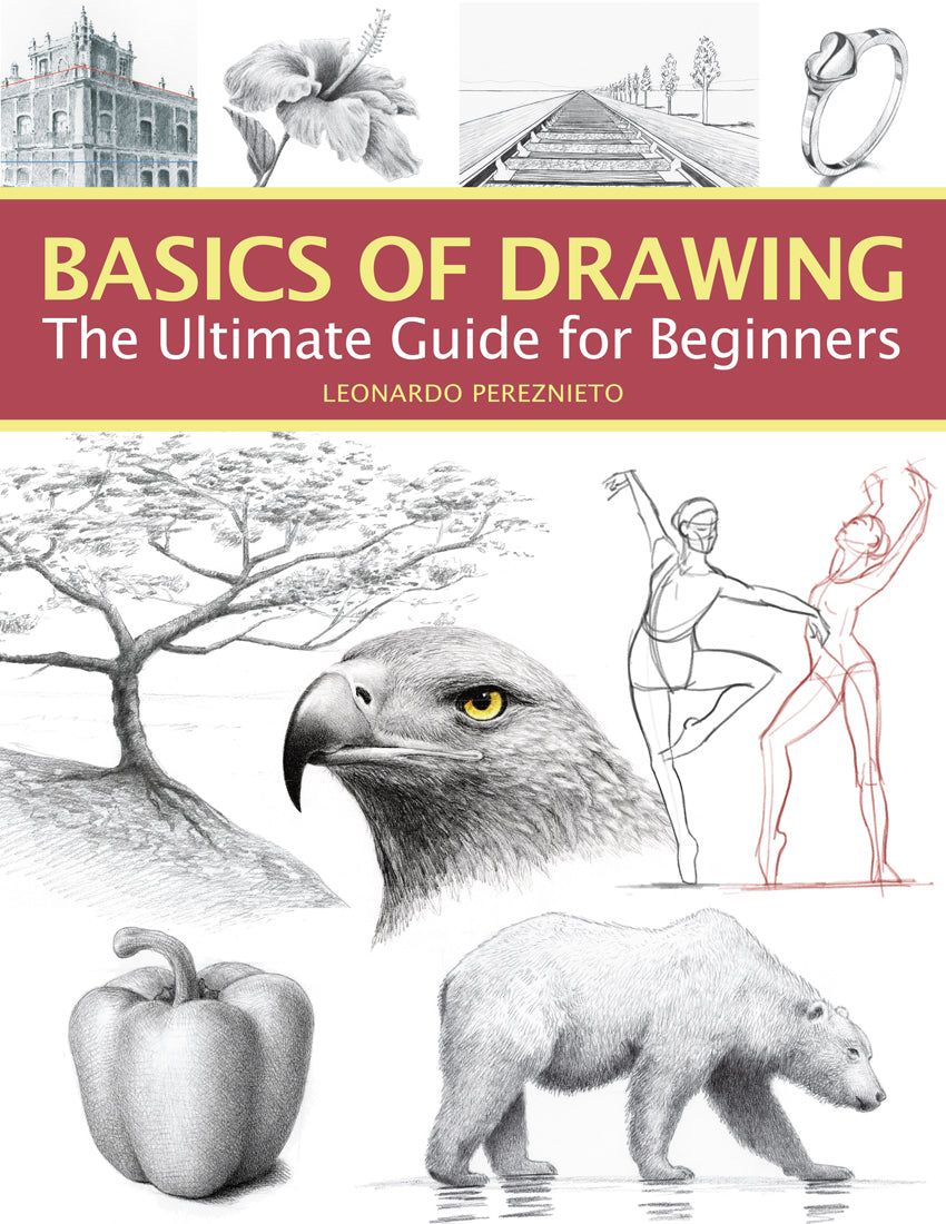 Les bases du dessin