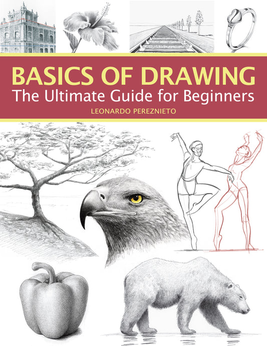Les bases du dessin