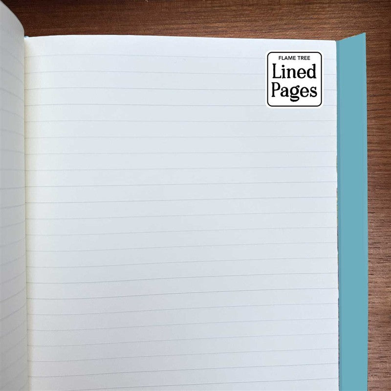Moomin Bookshelves: Pale Blue (Foiled Journal)
