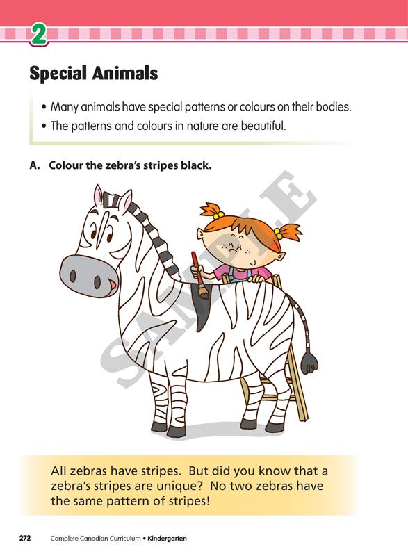 Complete Canadian Curriculum: Kindergarten (Enriched Edition)