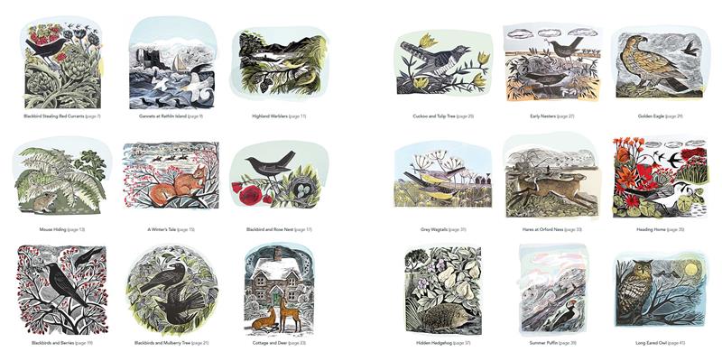 Wildlife (Angela Harding) Colouring Book