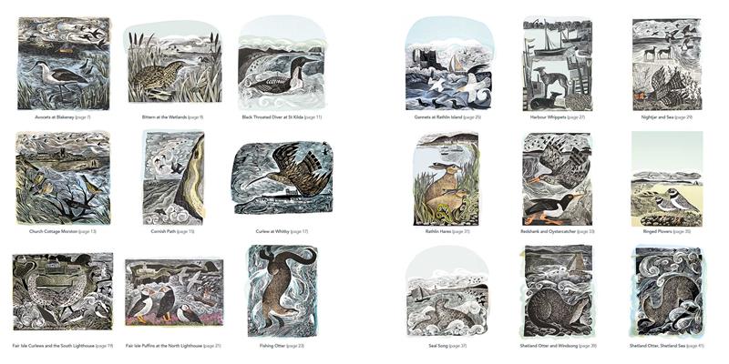 Countryside (Angela Harding) Colouring Book