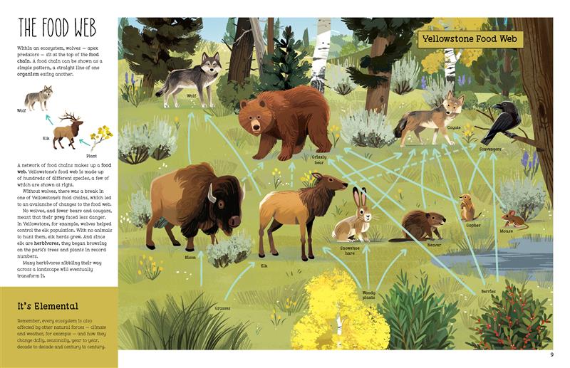 Le retour des loups