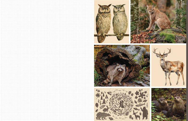Cut & Collage Woodland Creatures