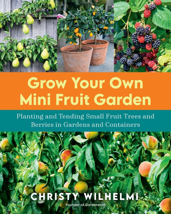 Cultivez votre propre mini jardin fruitier