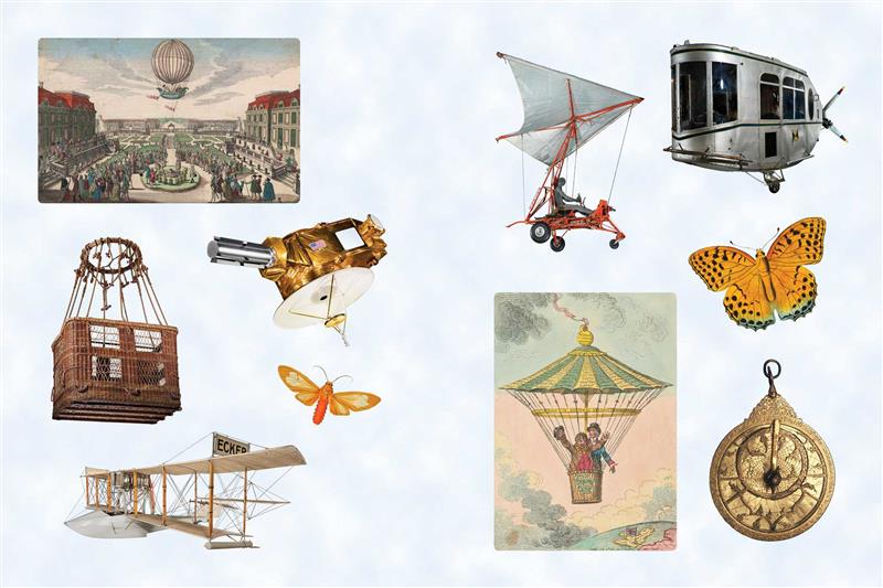 Cabinet of Curiosities II