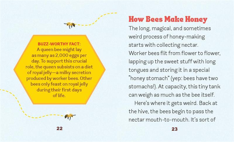 Build-Your-Own Beehive
