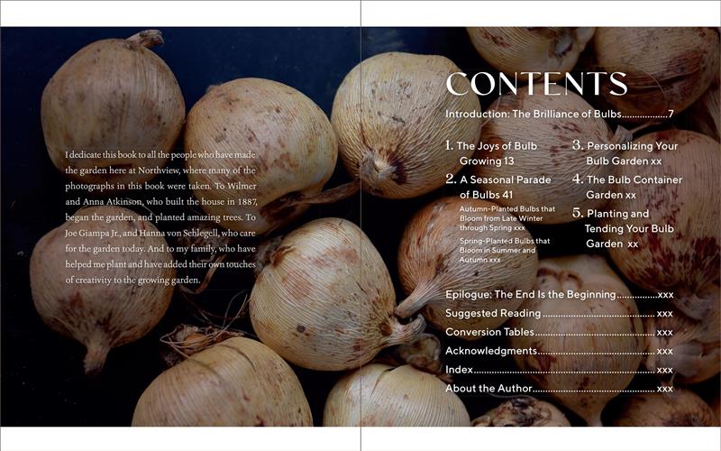 The Essential Guide to Bulbs