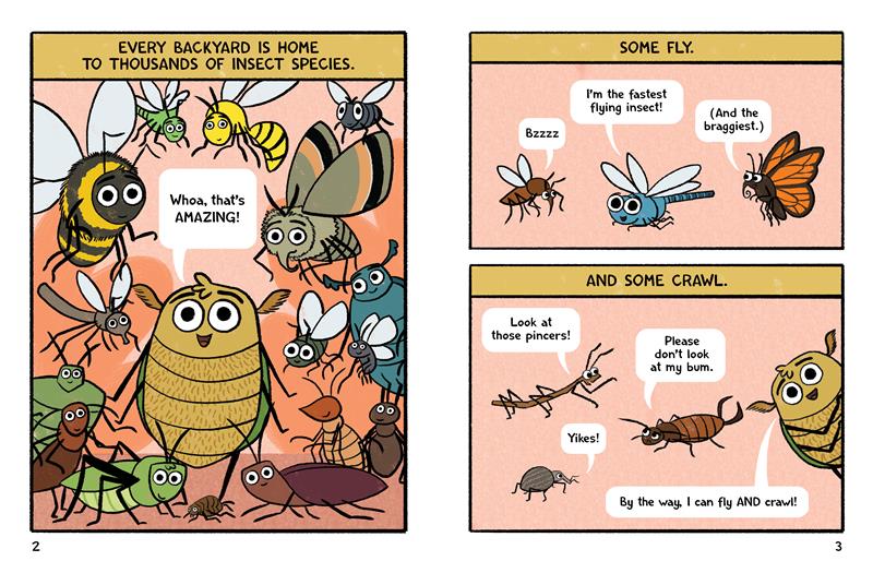 Burt le scarabée ne mord pas !