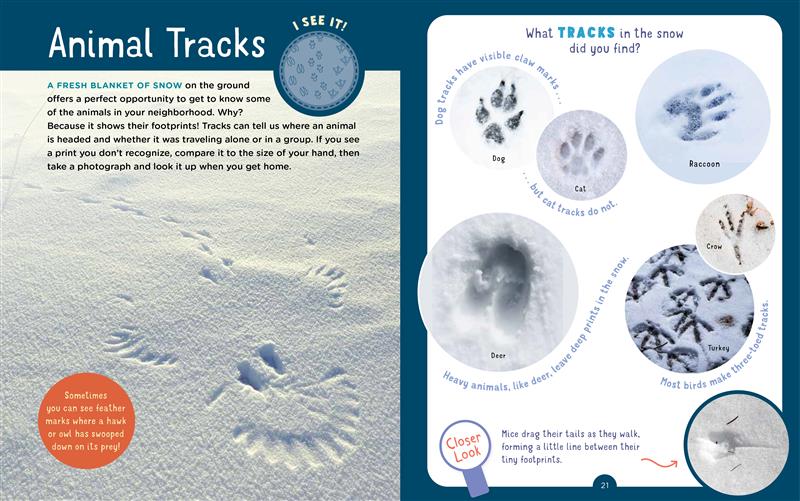 Backpack Explorer: Winter Walk