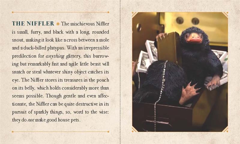 Les Animaux Fantastiques : Niffleur