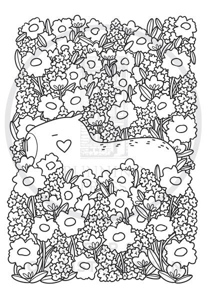 Super-Cute Capybaras