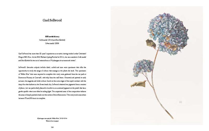 RHS Botanical Illustration