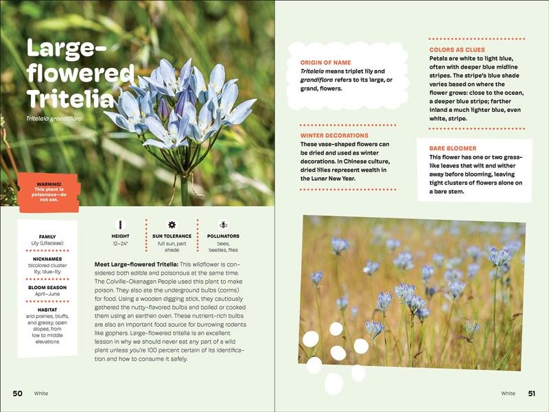 Wildflowers of the Pacific Northwest For Kids