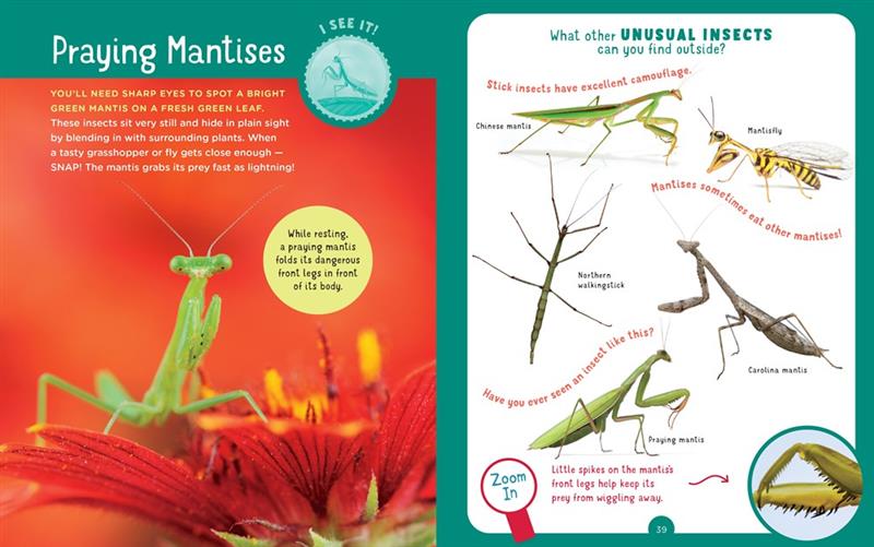 Backpack Explorer : Chasse aux insectes