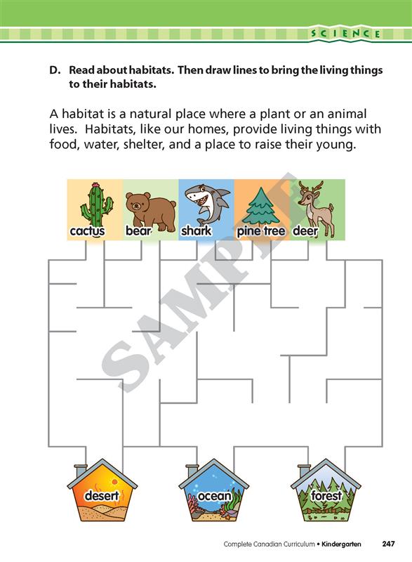 Complete Canadian Curriculum: Kindergarten (Enriched Edition)