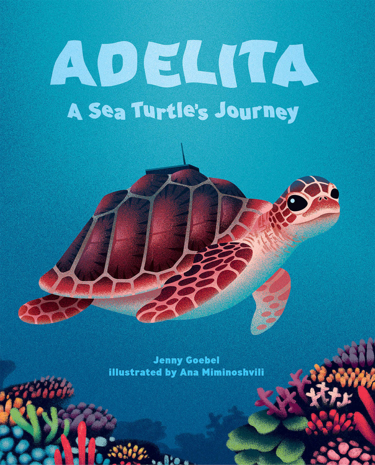 Adelita, le voyage d'une tortue de mer