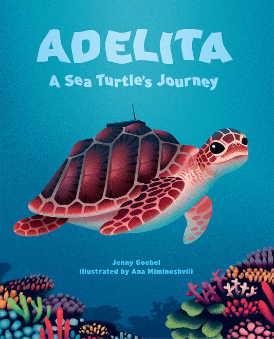 Adelita, le voyage d'une tortue de mer