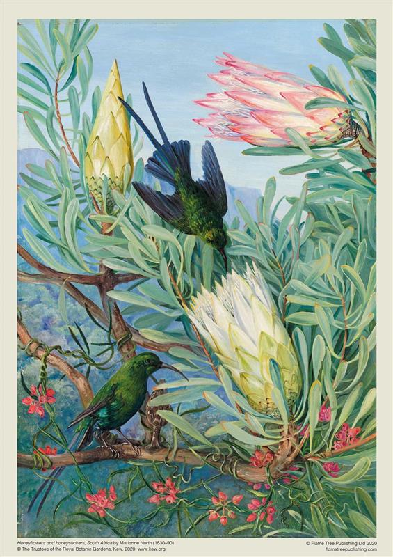 Puzzle pour adultes Marianne North des jardins de Kew : fleurs de miel et chèvrefeuilles