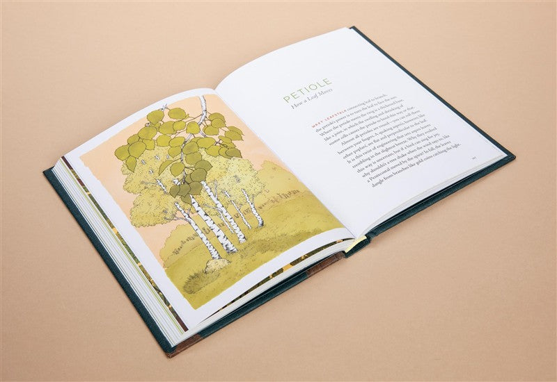 A Forest Language