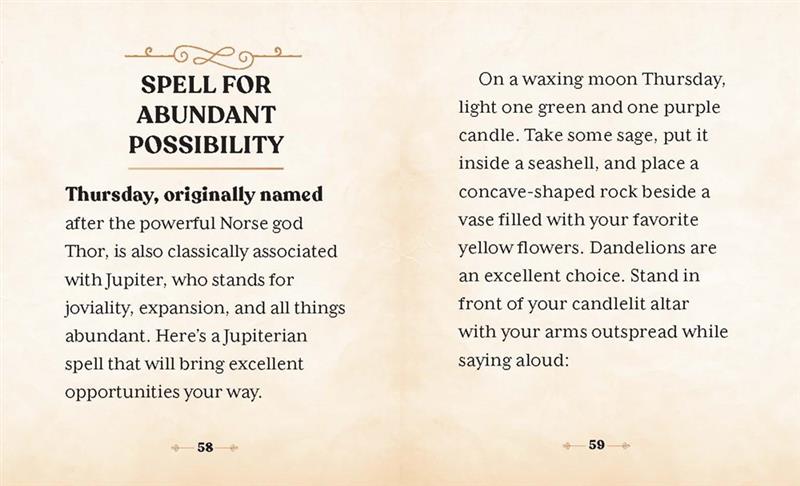 The Witches' Wealth Spell Book