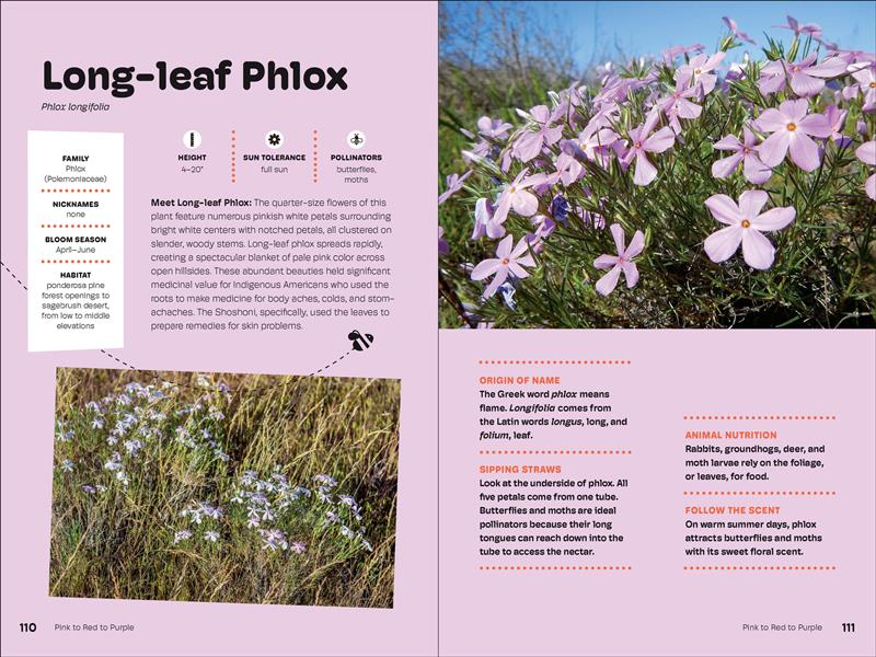 Wildflowers of the Pacific Northwest For Kids