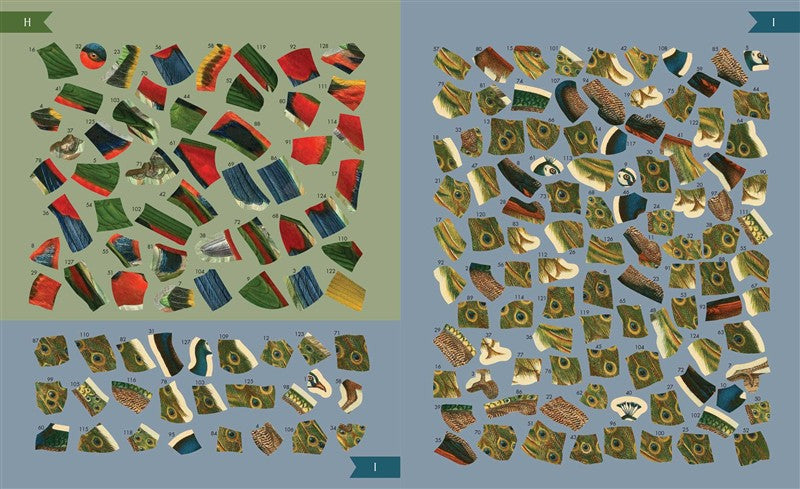 Museum Mosaics: Birds of the Smithsonian