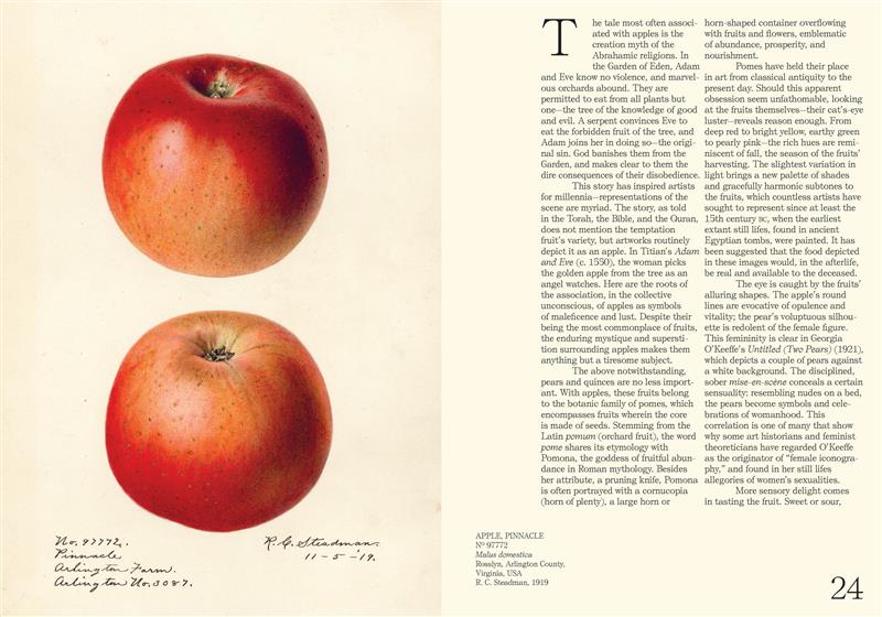 An Illustrated Catalog of American Fruits & Nuts