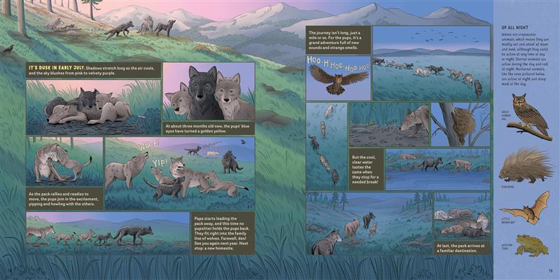 What Goes on inside a Wolf Pack