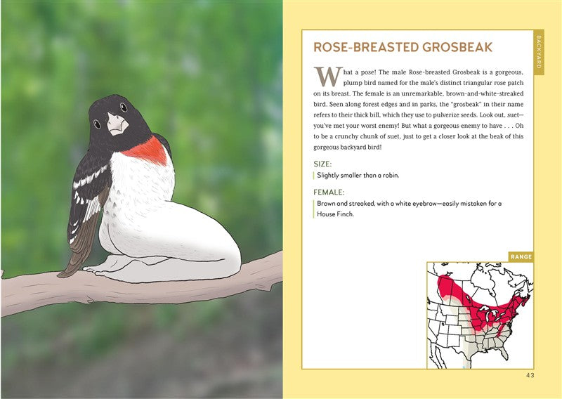 Extremely Accurate Birds