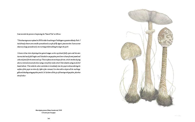 RHS Botanical Illustration
