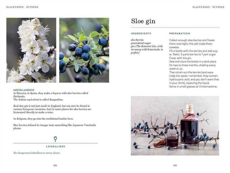 The Foraging Book