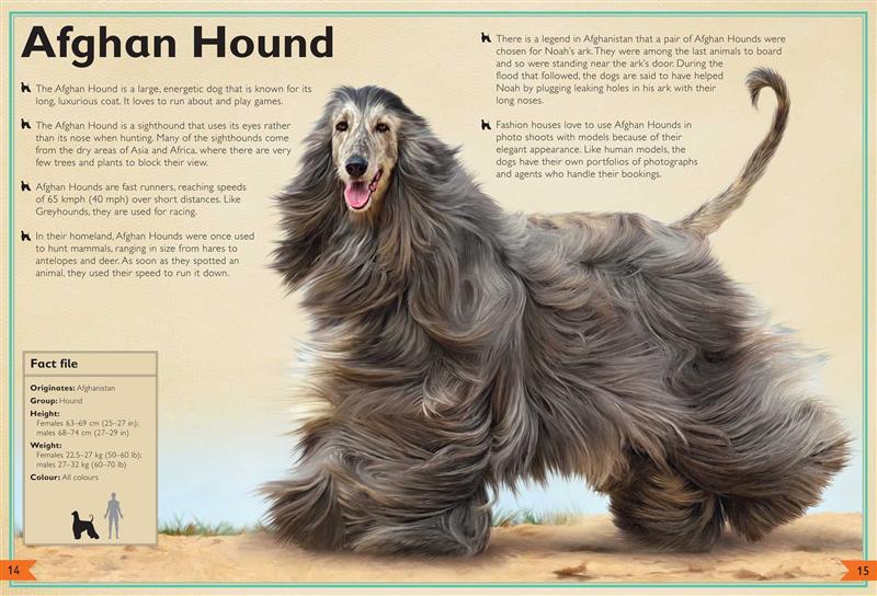 The Magnificent Book of Dogs