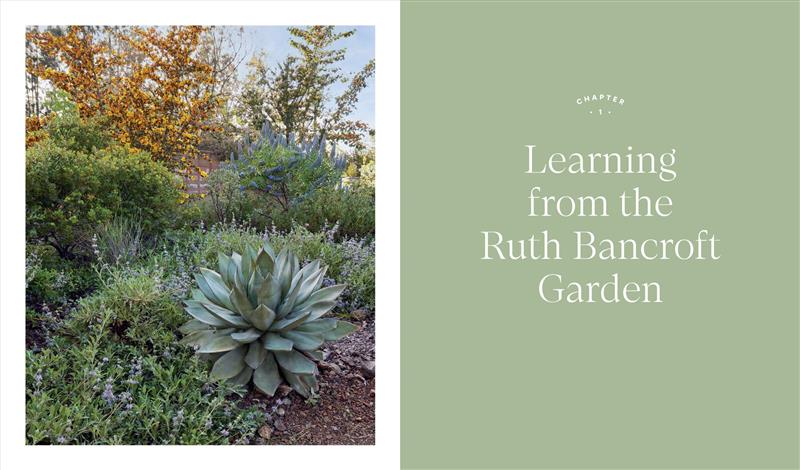 Designing the Lush Dry Garden