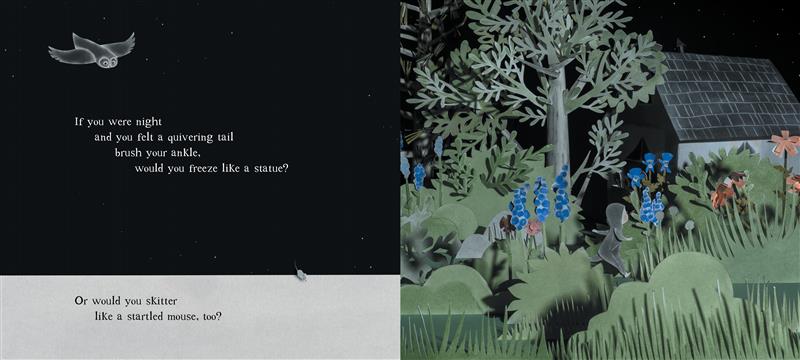 Si tu étais la nuit